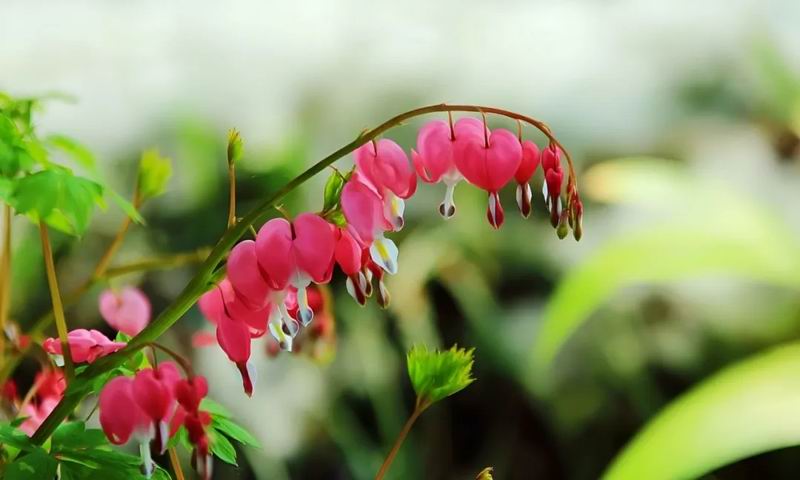 640_wx_fmt=jpeg&from=appmsg&tp=webp&wxfrom=5&wx_lazy=1&wx_co=1 (1)